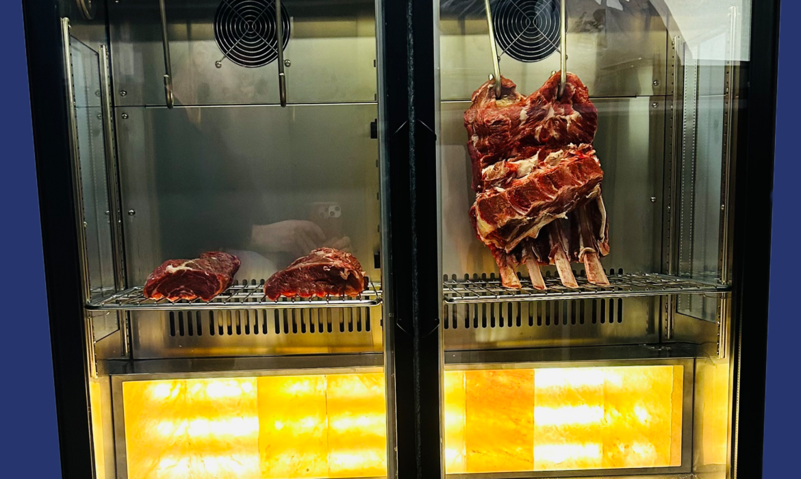 Dry Aged Buzdolabı
